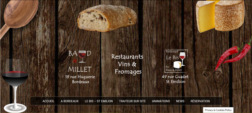 baud_millet-realisation-formateur-wordpress-bordeaux
