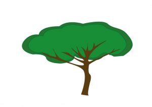 pin-parasol Initiation Illustrator